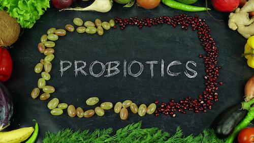 Common Probiotic Myths